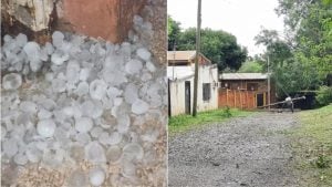 Tormenta de Santa Rosa | Unas 20 familias en la zona sur de Posadas debieron ser asistidas tras el temporal imagen-4