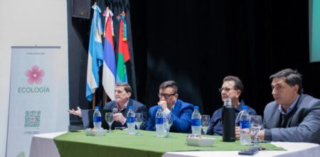 Créditos de carbono: Misiones inició el proceso para distribuir los fondos destinados a la conservación de bosques imagen-8