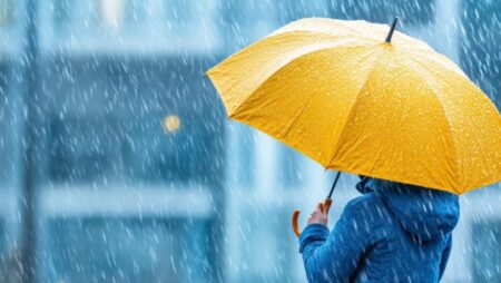 Miércoles con paraguas a mano: anticipan lluvias y tormentas fuertes en Misiones imagen-15