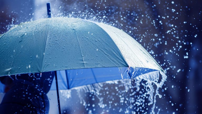 Viernes con lluvias y tormentas en Misiones: advierten por abundante agua y posible granizo imagen-5