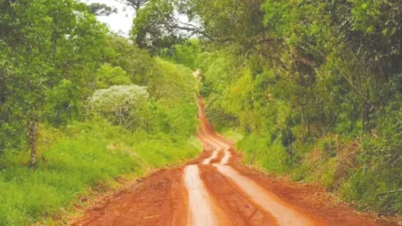 La idea libertaria de extranjerizar tierras sufrió un revés que impacta en Misiones imagen-14