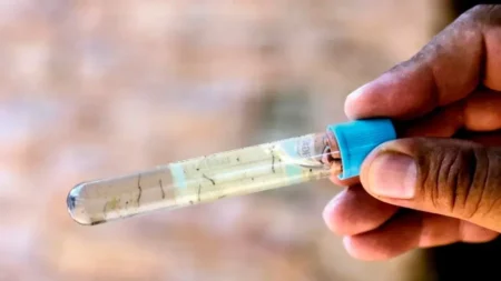 Posadas se prepara para medir el Aedes bajo el impacto de El Niño imagen-18