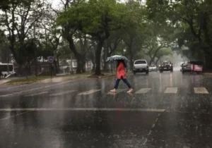 Un sábado de dos caras: el sol matutino dará paso a las tormentas en el territorio provincial Un sábado de dos caras: el sol matutino dará paso a las tormentas en el territorio provincial imagen-4