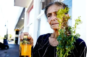 Tres tragos que reconfortan cuerpo, alma y memoria imagen-1