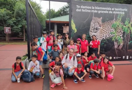Alumnos podrán usar su creatividad e historietas para concientizar sobre el yaguareté imagen-4