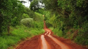 Pese a los cambios, intendentes de Misiones rechazan la ley de tierras imagen-2