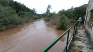 Jardín América: la Cooperativa activa un protocolo ante alerta por intensas lluvias Jardín América: la Cooperativa activa un protocolo ante alerta por intensas lluvias imagen-2