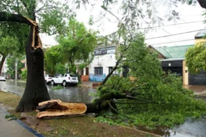 La región se prepara para atravesar uno de los episodios de El Niño más intensos en 150 años imagen-1