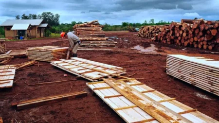 Cinco pymes forestales de Misiones avanzan en certificación internacional imagen-12