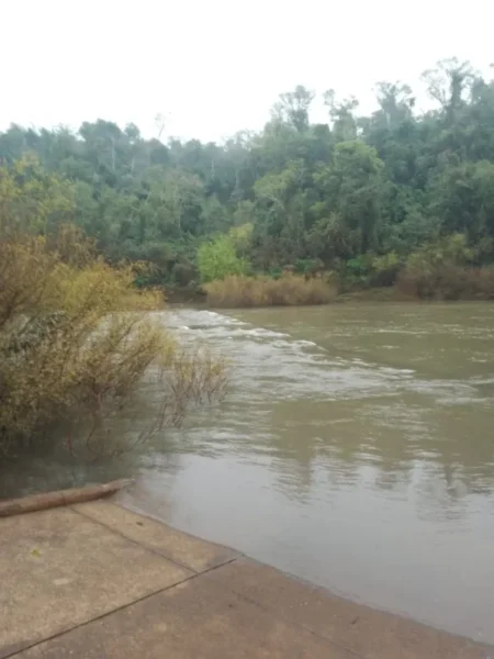 Por la crecida del arroyo Yabotí permanece cerrado el acceso al Parque Provincial Moconá imagen-129