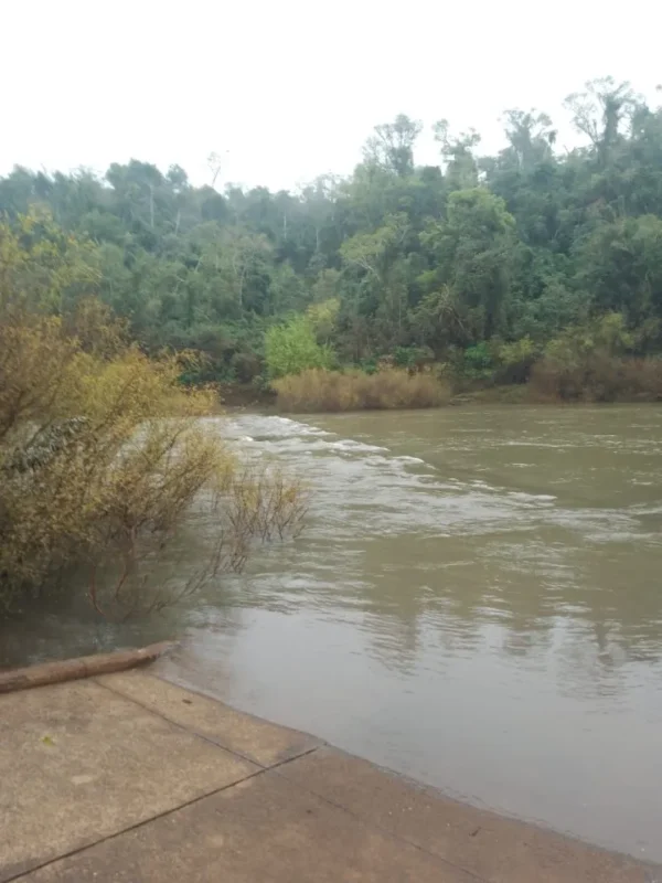 Por la crecida del arroyo Yabotí permanece cerrado el acceso al Parque Provincial Moconá imagen-5