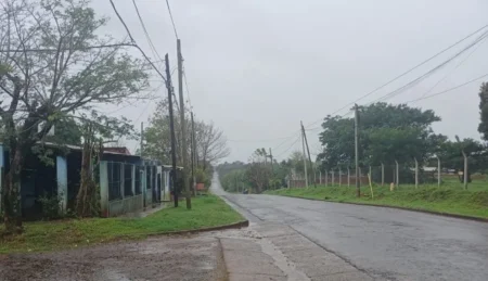 Tormenta, viento y después el frío llega a Misiones Tormenta, viento y después el frío llega a Misiones imagen-9