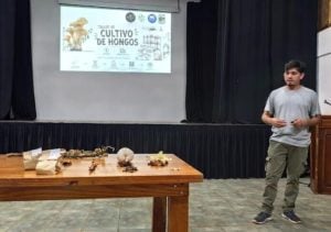 Montecarlo | Impulsan el agregado de valor a residuos forestales integrando el uso del aserrín en la producción de hongos imagen-6