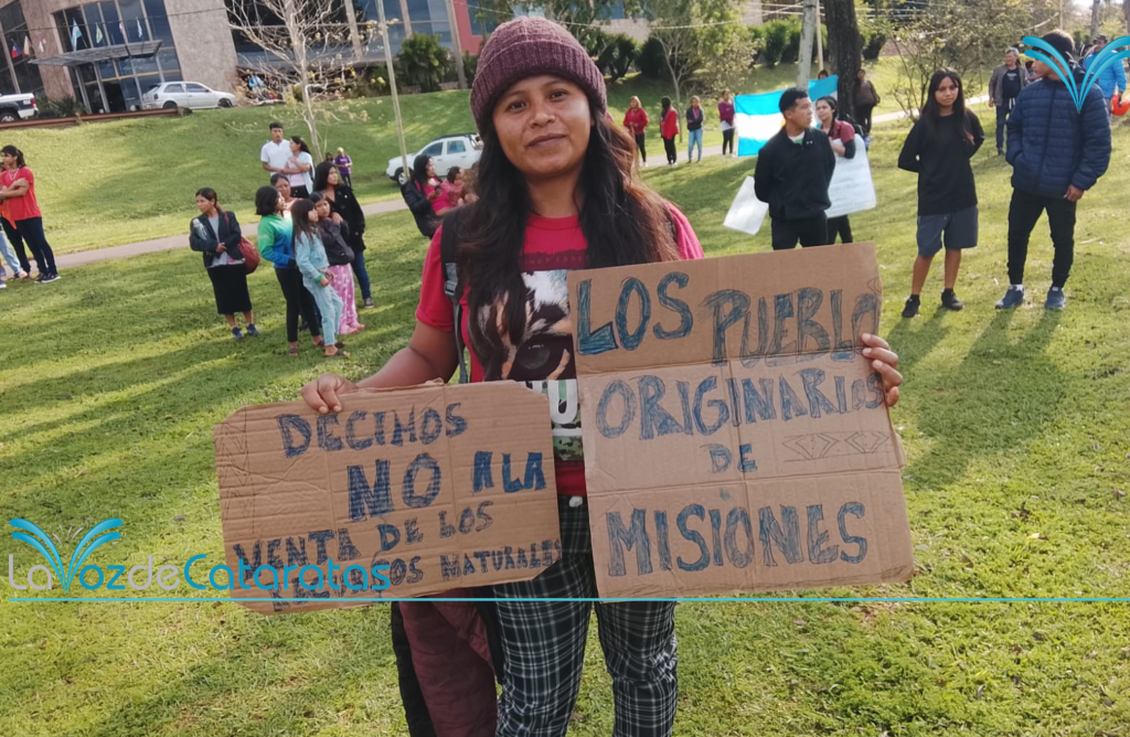 Organizaciones sociales y pueblos originarios marcharon contra el proyecto de ley de Inviolabilidad de la Propiedad Privada imagen-68