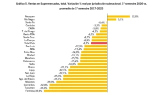 Misiones registra una de las mayores caídas de ventas en supermercados en comparación al promedio histórico imagen-1