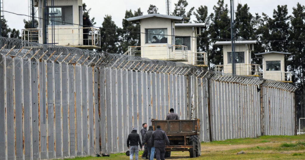 Un preso pidió una extracción de semen y su abogado hizo una presentación: “Sólo requiere un espacio reservado dentro de la unidad" imagen-106