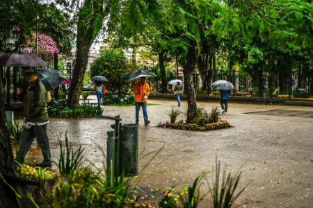 El frente frío llegará a Misiones con tormentas y mínimas de hasta 6 grados: los detalles imagen-10