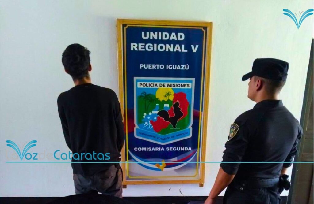 Quiso robarle a una pareja, fue reducido por vecinos y terminó detenido imagen-5