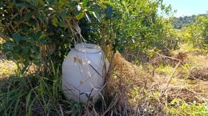 La CEM respalda el proyecto para derogar la prohibición del glifosato y reclamó que las decisiones productivas se basen en evidencia científica imagen-1