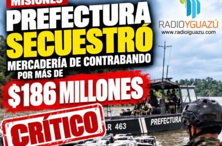PREFECTURA IGUAZÚ FRENÓ UN CONTRABANDO MILLONARIO: SECUESTRARON MERCADERÍA POR MÁS DE $186 MILLONES imagen-15