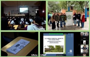 La formación forestal y el futuro de los bosques estuvieron en el centro de la Semana de las Ciencias Forestales 2026 imagen-1