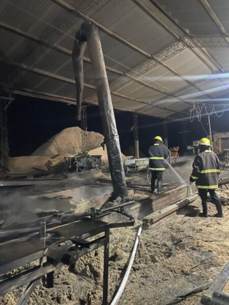 Bomberos policiales sofocaron el incendio de un aserradero en Panambí imagen-73