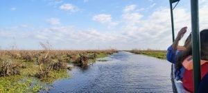 Misiones Maravilla | Escapada a los Esteros del Iberá desde Posadas: ahora también incluye un recorrido por la Represa Yacyretá imagen-2