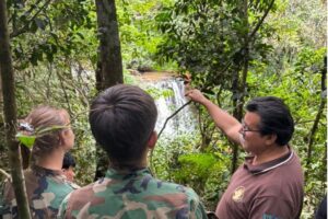 Trabajan en la conservación y puesta en valor del Salto Küppers imagen-75