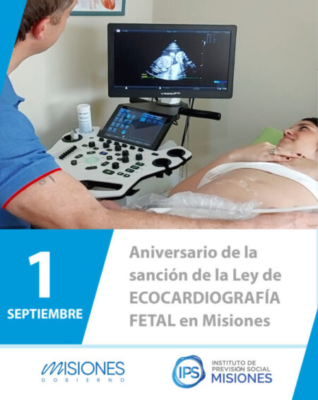 💙 ❤️ 1 de septiembre | Aniversario de la sanción de la Ley de Ecocardiografía Fetal en Misiones imagen-87