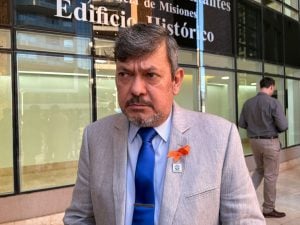 La Legislatura misionera se prepara para derogar la prohibición del glifosato: “Hay que darle previsibilidad al productor” imagen-1