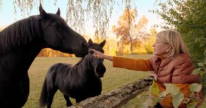 En el 2000, Martha Stewart compró una granja de 152 acres en Nueva York; 26 años después, la granja de caballos cuenta con más de 100 gallinas y 11 faisanes, tras haber añadido 13 gallinas y un faisán plateado imagen-4