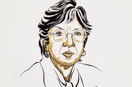 El Premio Nobel de la Paz 2026 fue para la sudafricana Navanethem “Navi” Pillay imagen-8