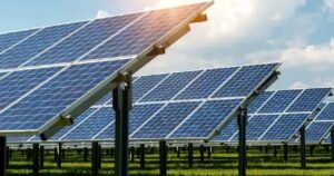 Una granja solar de Nueva York redujo en un 24% la luz solar otoñal que recibían sus hortalizas, y los rábanos y la achicoria terminaron la temporada con casi la mitad de su biomasa normal Una granja solar de Nueva York redujo en un 24% la luz solar otoñal que recibían sus hortalizas, y los rábanos y la achicoria terminaron la temporada con casi la mitad de su biomasa normal imagen-4