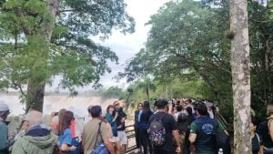 Por el nivel del río Iguazú, el Parque Nacional abrirá este lunes de forma parcial: estarán habilitados el Circuito Inferior y el Sendero Verde imagen-9