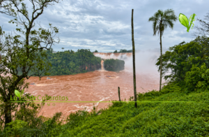 Cataratas: el Parque Nacional Iguazú abrirá este jueves con el Circuito Inferior habilitado Cataratas: el Parque Nacional Iguazú abrirá este jueves con el Circuito Inferior habilitado imagen-4