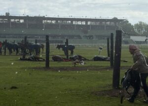 Cayó un rayo en el Jockey Club de San Isidro: murieron cuatro yeguas de polo imagen-3