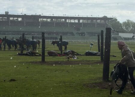 Cayó un rayo en el Jockey Club de San Isidro: murieron cuatro yeguas de polo imagen-9