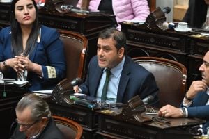 Con 237 votos afirmativos, Diputados dio media sanción para blindar los derechos de las personas con discapacidad: el aporte clave de Herrera Ahuad imagen-4