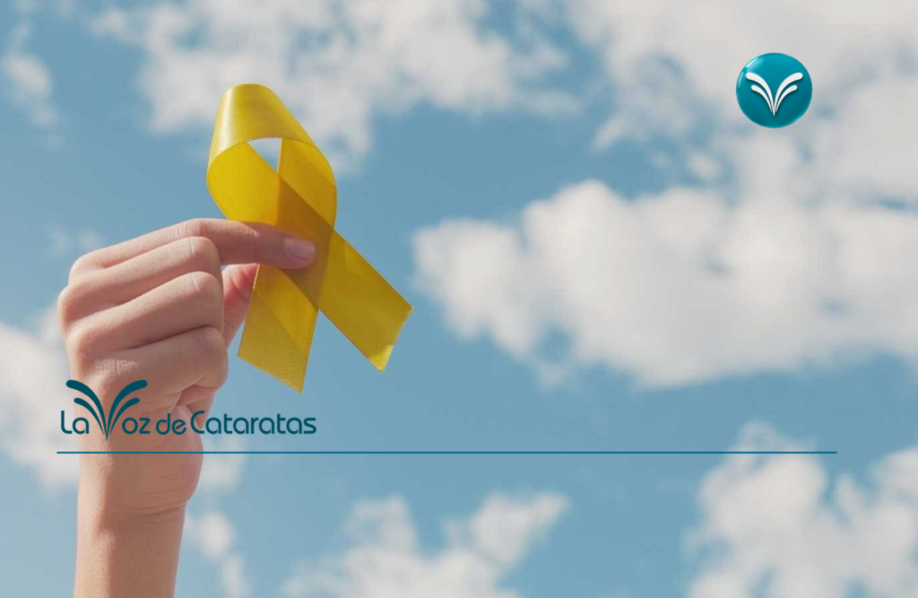 Dos muertes en una misma jornada vuelven a poner el foco en la prevención del suicidio imagen-5
