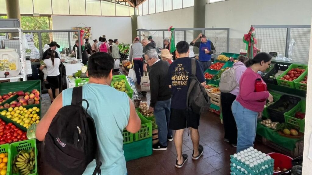 El Mercado Concentrador de Eldorado celebró sus cinco años con más de mil visitantes y una fiesta por el Día de la Madre imagen-5