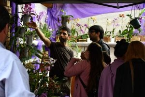 Color, naturaleza y tradición marcan una nueva edición de la Fiesta de la Flor y la Orquídea en Montecarlo imagen-8