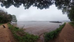 Temor por el turismo en Isla Apipé tras la crecida del río Paraná: “Llegar a la temporada alta inundados sería un golpe económico” Temor por el turismo en Isla Apipé tras la crecida del río Paraná: “Llegar a la temporada alta inundados sería un golpe económico” imagen-5