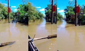 Crecida del Paraná en Corrientes: las inundaciones y el freno al turismo encienden las alarmas de los pobladores de la Isla Apipé imagen-8