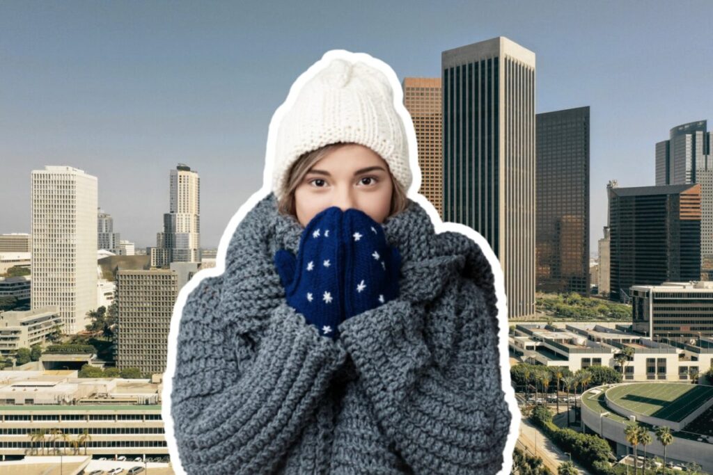 Confirman qué día llegaría la primera ola de frío polar el próximo invierno en Florida imagen-105