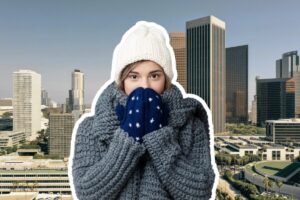 Confirman qué día llegaría la primera ola de frío polar el próximo invierno en Florida imagen-1