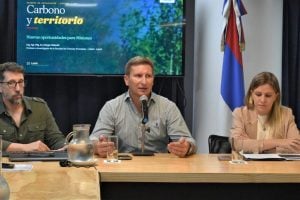 Mercado de carbono en Misiones: buscan alternativas para que los productores forestales y agropecuarios generen nuevos ingresos Mercado de carbono en Misiones: buscan alternativas para que los productores forestales y agropecuarios generen nuevos ingresos imagen-8