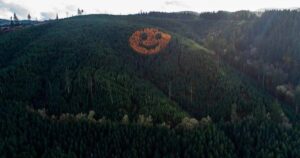 La increíble cara sonriente formada por árboles que aparece cada otoño en un bosque imagen-4