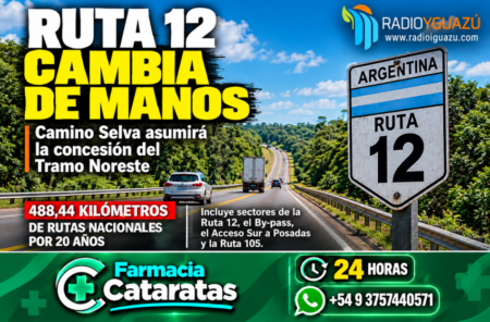 RUTA 12 CAMBIA DE MANOS: CAMINO SELVA TOMA EL CONTROL DEL TRAMO NORESTE RUTA 12 CAMBIA DE MANOS: CAMINO SELVA TOMA EL CONTROL DEL TRAMO NORESTE imagen-129