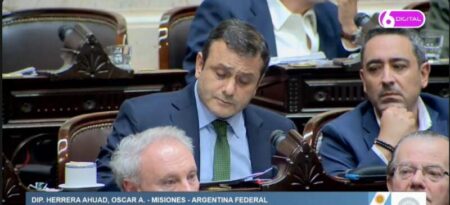 Discapacidad: Herrera Ahuad impulsó cambios y La Libertad Avanza aceptó incorporarlos al proyecto imagen-16