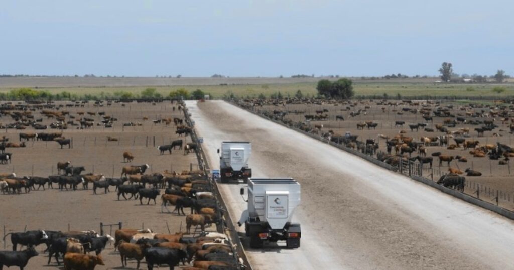 En los corrales de engorde ya se empieza a sentir el éxodo de animales desde las islas del Litoral imagen-106